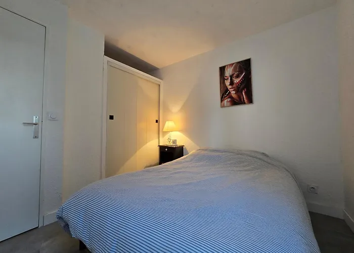 Joli T2 Avec Parking Et Wifi Tennis Village *